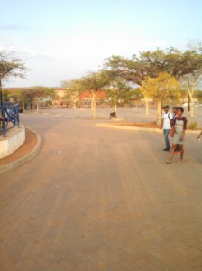 IMG_20151113_175150_825