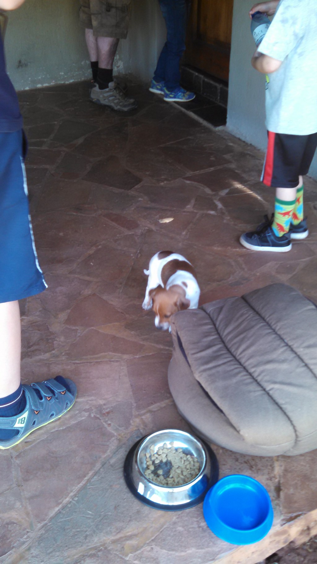 IMG_20160903_093108_547