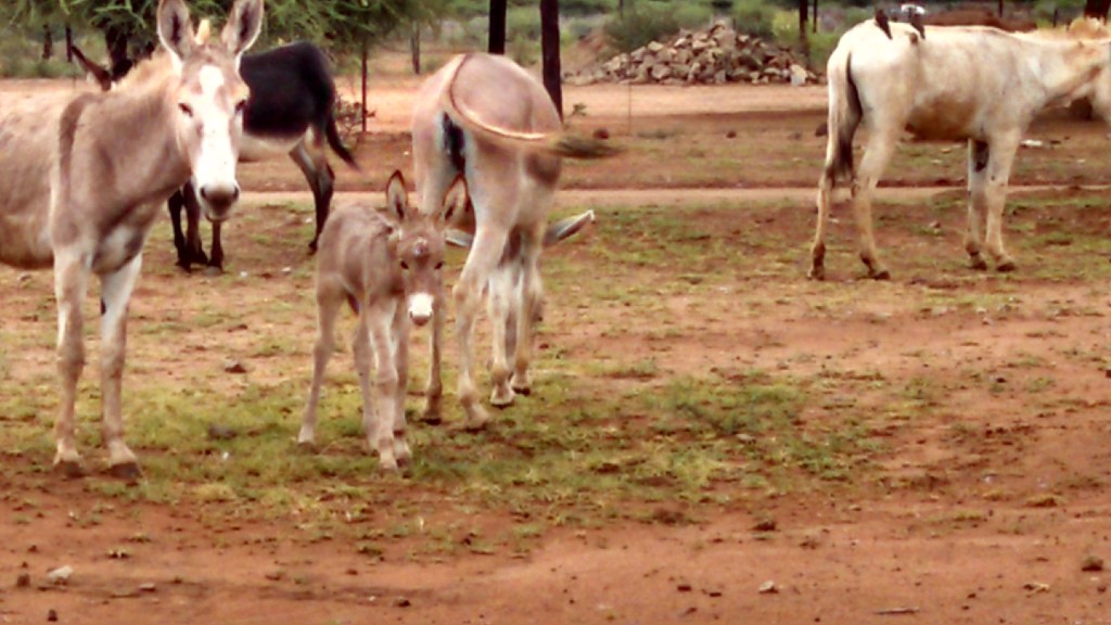 img_20161224_095324_461